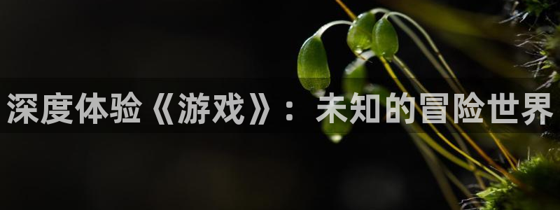 威廉希尔红酒：深度体验《游戏》：未知的冒险世界