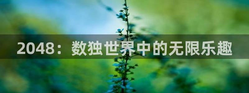  威廉希尔500：2048：数独世界中的无限乐趣