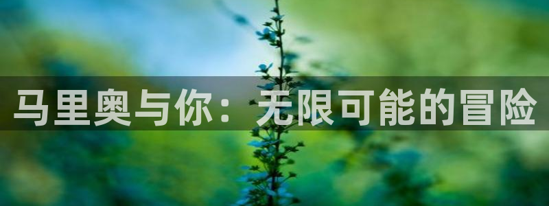 威廉希尔中文官网：马里奥与你：无限可能的冒险