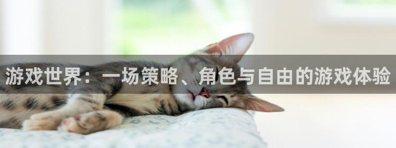 威廉希尔体育app官网：游戏世界：一场策略、角色与自由的游戏
