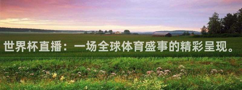 袋鼠直播体育app：世界杯直播：一场全球体育盛事的精彩呈现。