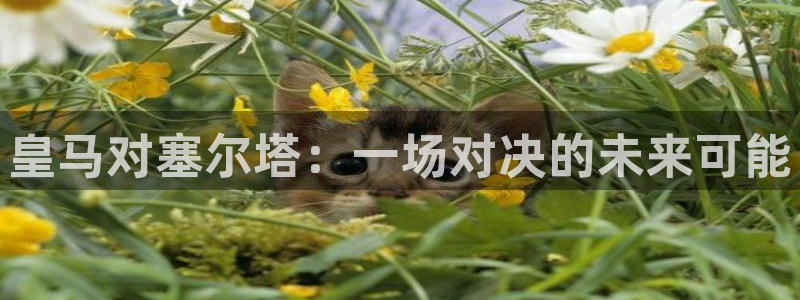 足球直播袋鼠：皇马对塞尔塔：一场对决的未来可能