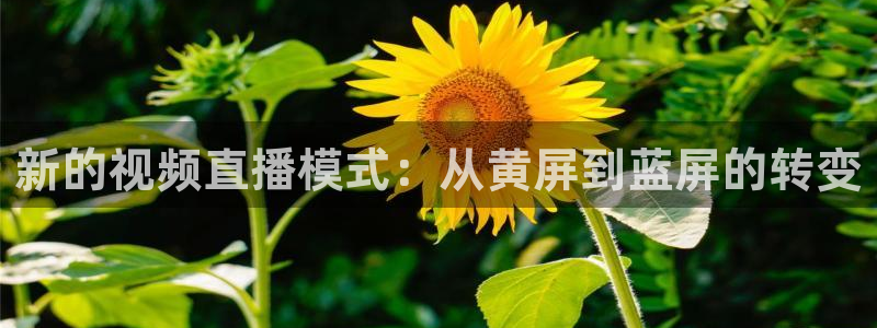 袋鼠直播在线观看nba：新的视频直播模式：从黄屏到蓝屏的转变