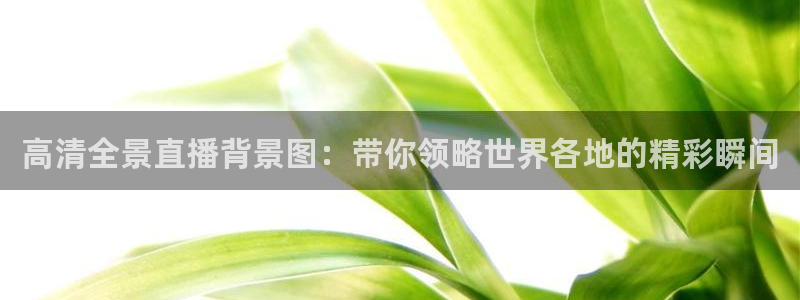 袋鼠体育足球直播：高清全景直播背景图：带你领略世界各地的精彩瞬间