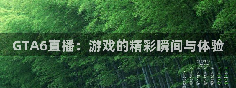 袋鼠直播体育在线：GTA6直播：游戏的精彩瞬间与体验