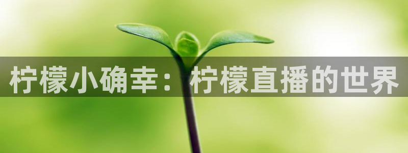 袋鼠直播体育在线：柠檬小确幸：柠檬直播的世界